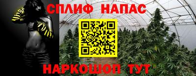 PSILOCYBIN Кунгур