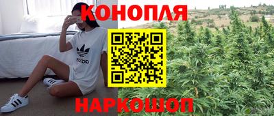 PSILOCYBIN Кунгур